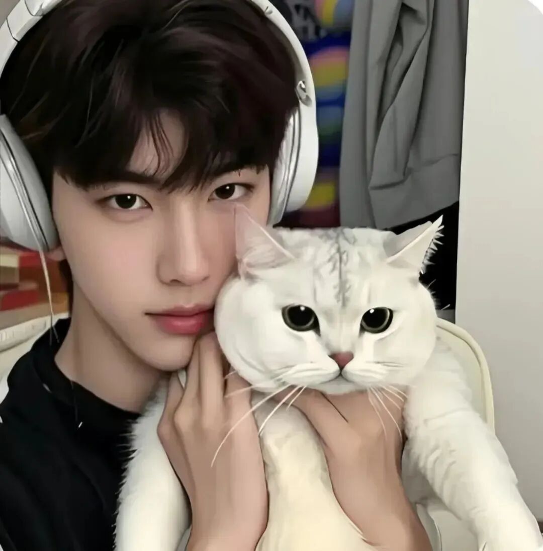 daiecnluloplifaxiao戴耳机抱着猫咪单人真人情侣头像