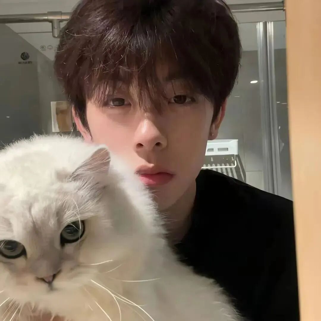 danbzcatmaowanfaxiao抱着猫咪单人真人情侣头像