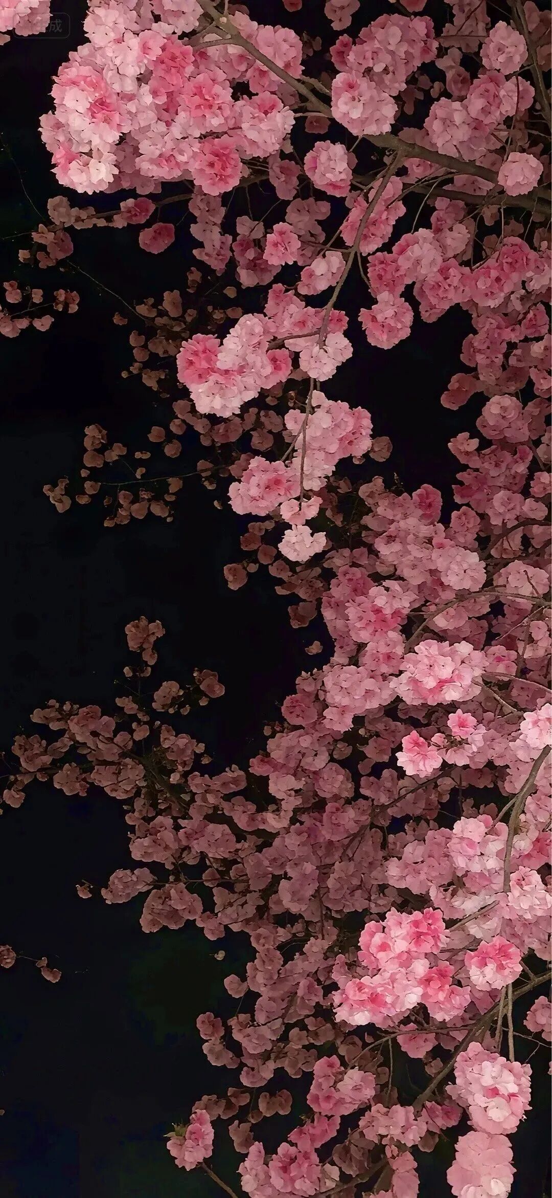 什锦