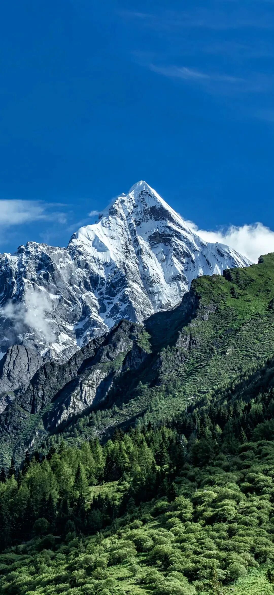 风景