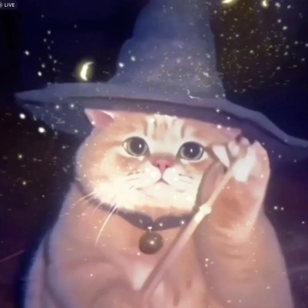 魔术猫咪萌宠头像