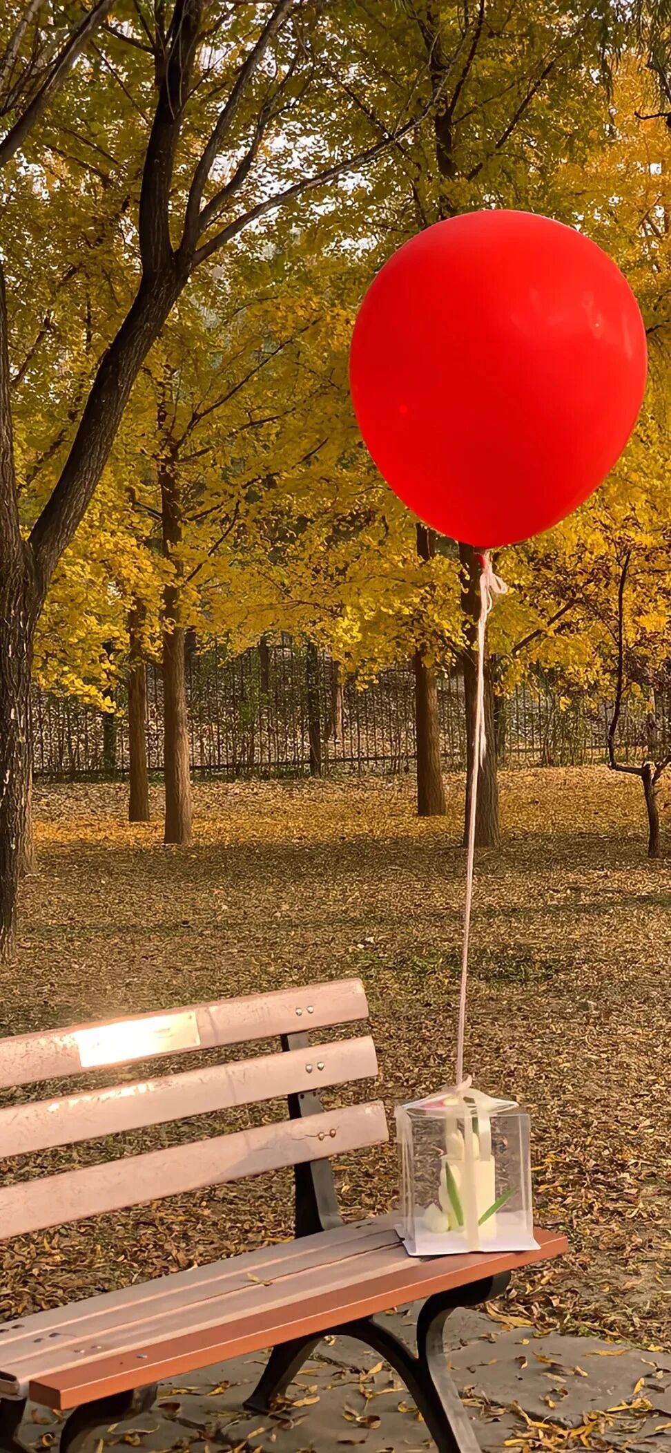 风景