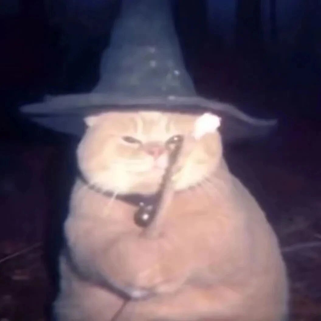 魔术猫咪萌宠头像