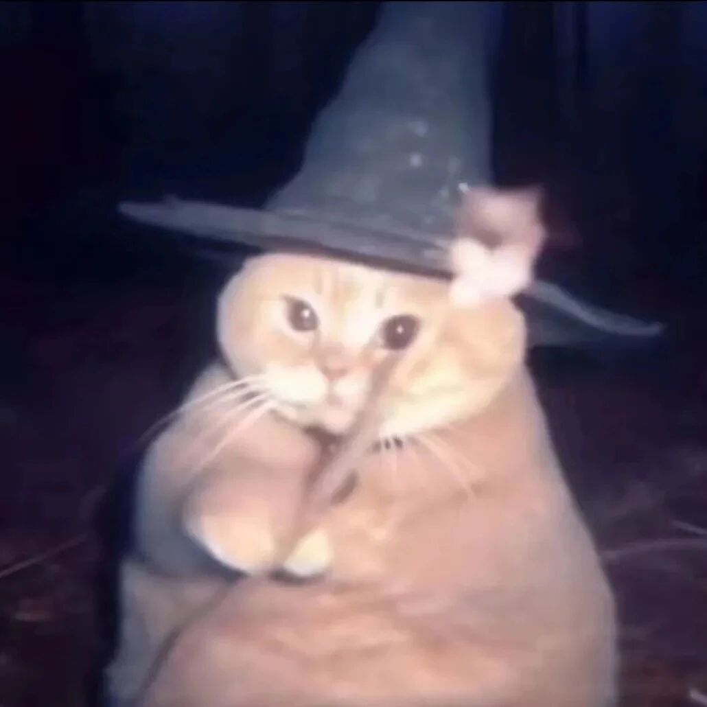魔术猫咪萌宠头像