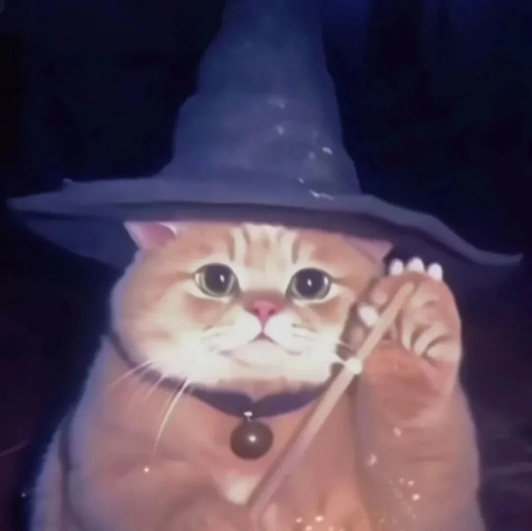 魔术猫咪萌宠头像
