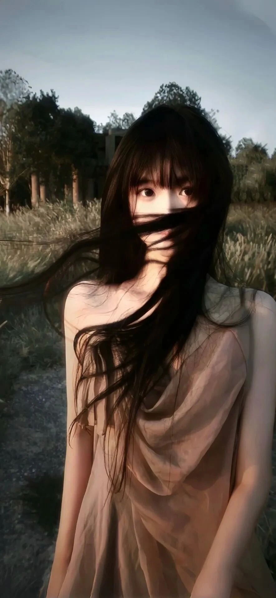 抖音热门