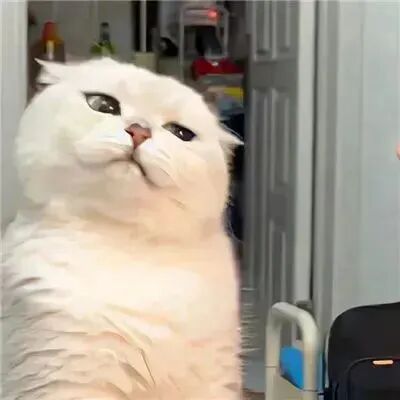 duixiangbsrenaiqingplm对象不是人真人情侣头像