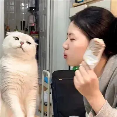 duixiangbsrenaiqingplm对象不是人真人情侣头像