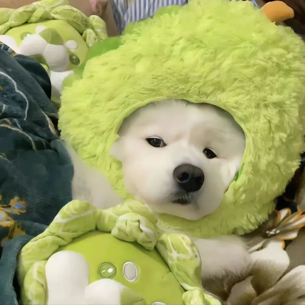 可爱狗狗萌宠头像