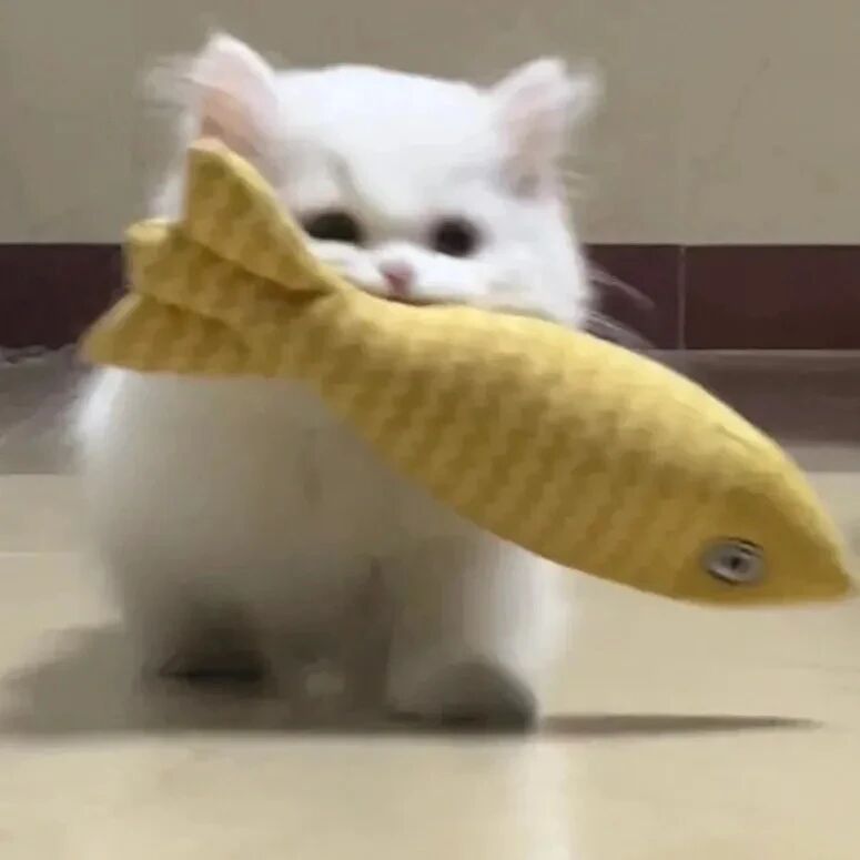 可爱吃鱼猫咪萌宠头像