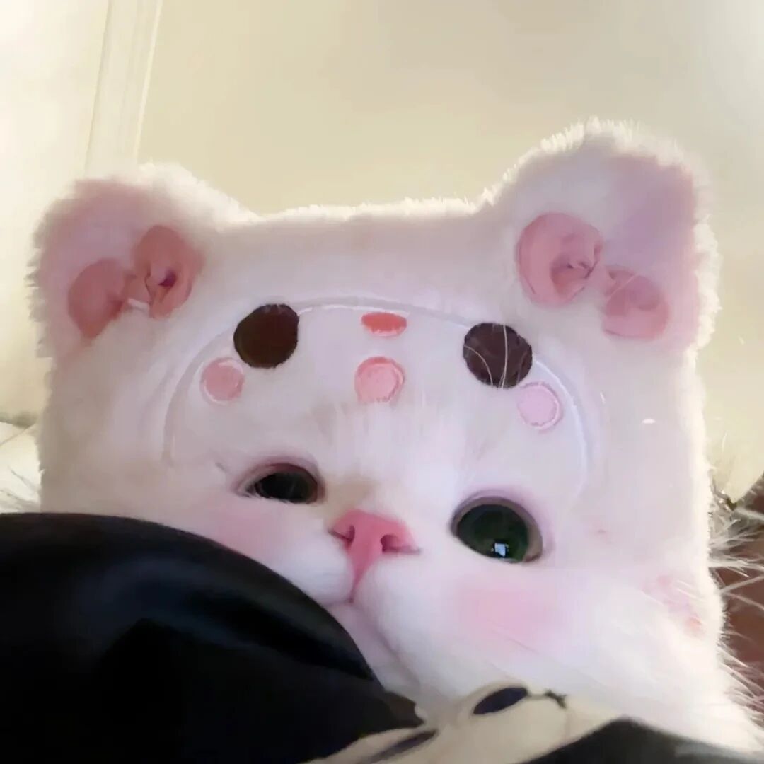 可爱猫咪萌宠头像