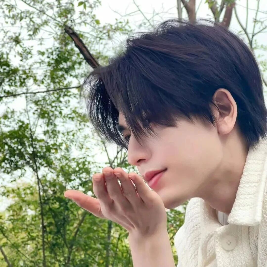 张凌赫爱豆侧脸男生头像