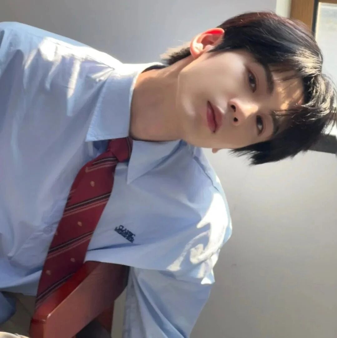 张凌赫爱豆学院风男生头像
