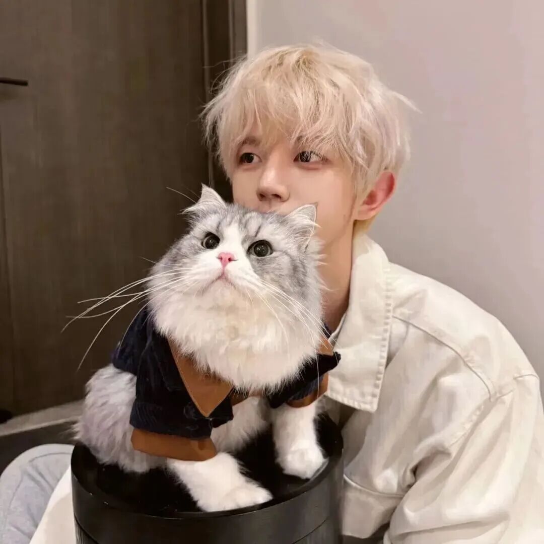 抱着猫咪帅气男生头像
