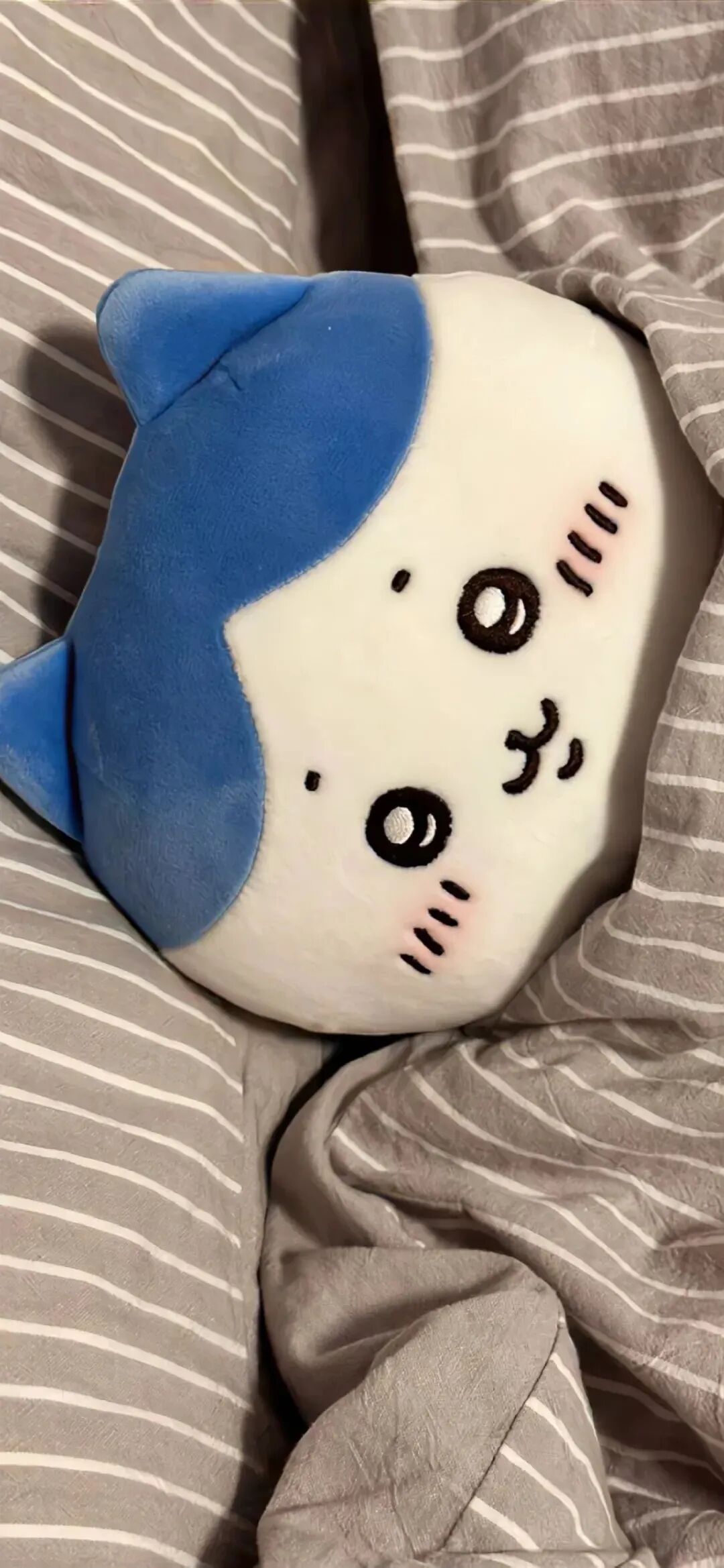 可爱玩偶壁纸