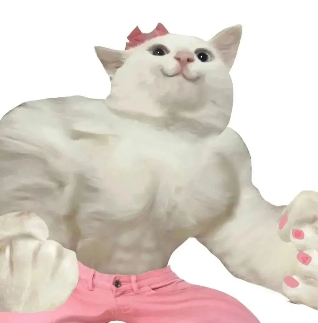 沙雕搞怪猫咪卡通头像