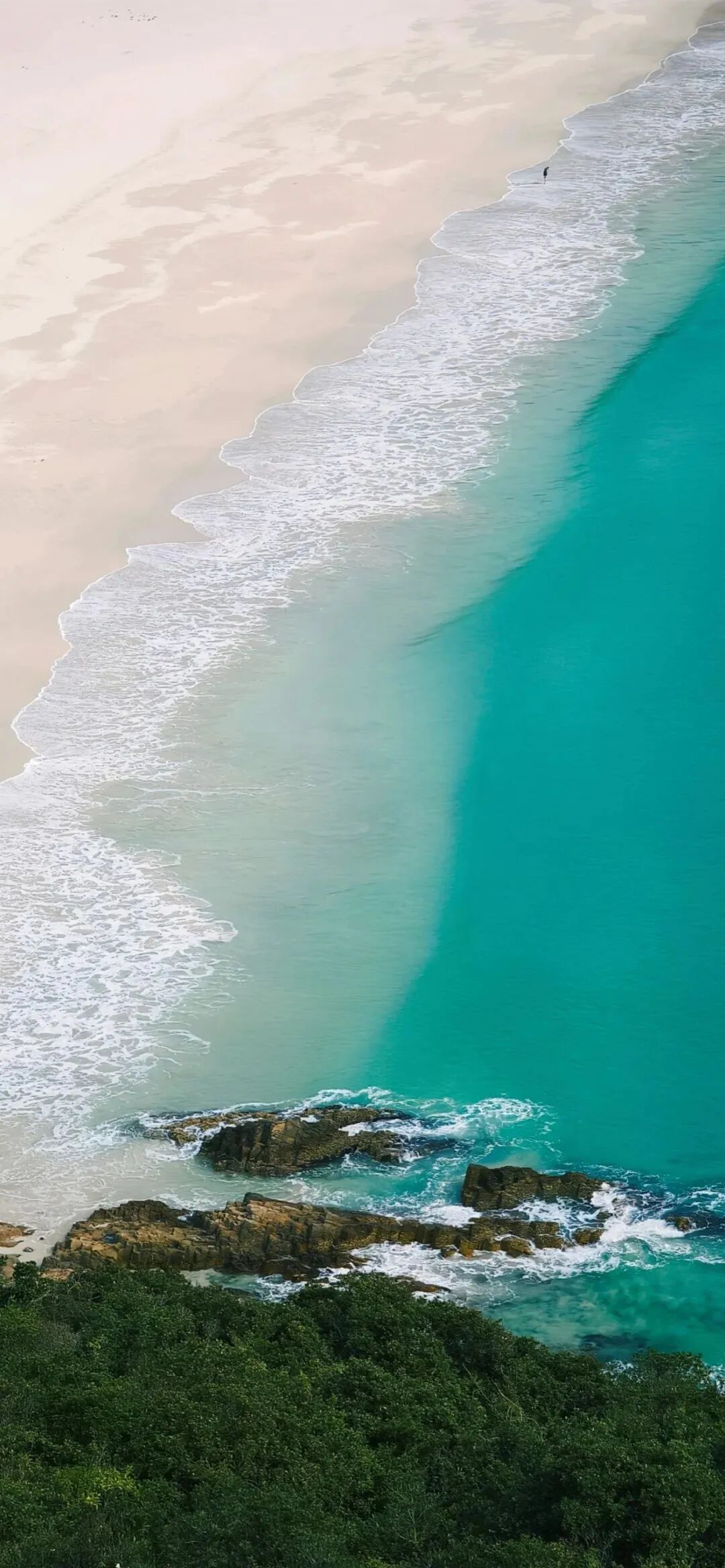 风景