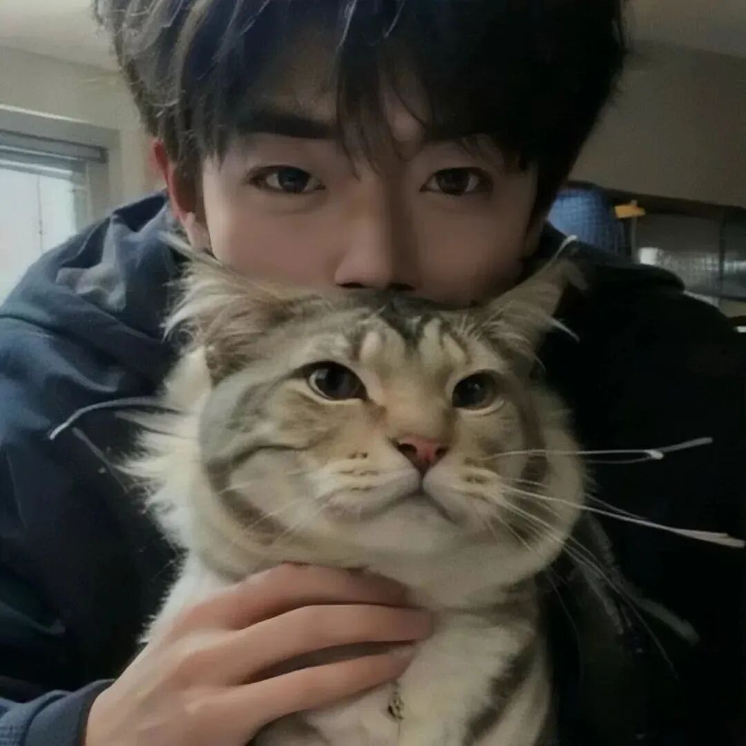 抱着猫咪帅气男生头像