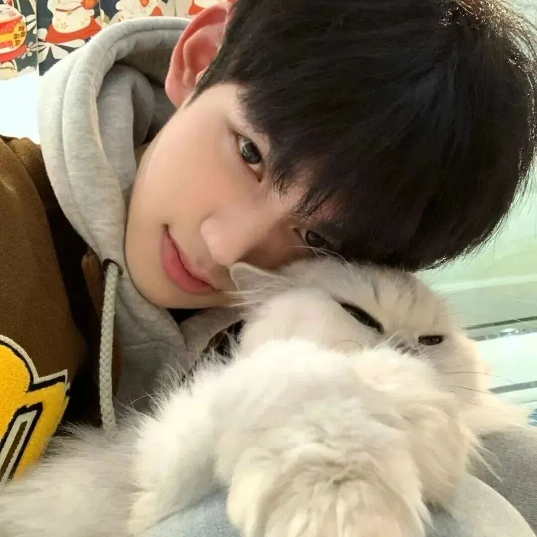 抱着猫咪阳光男生头像