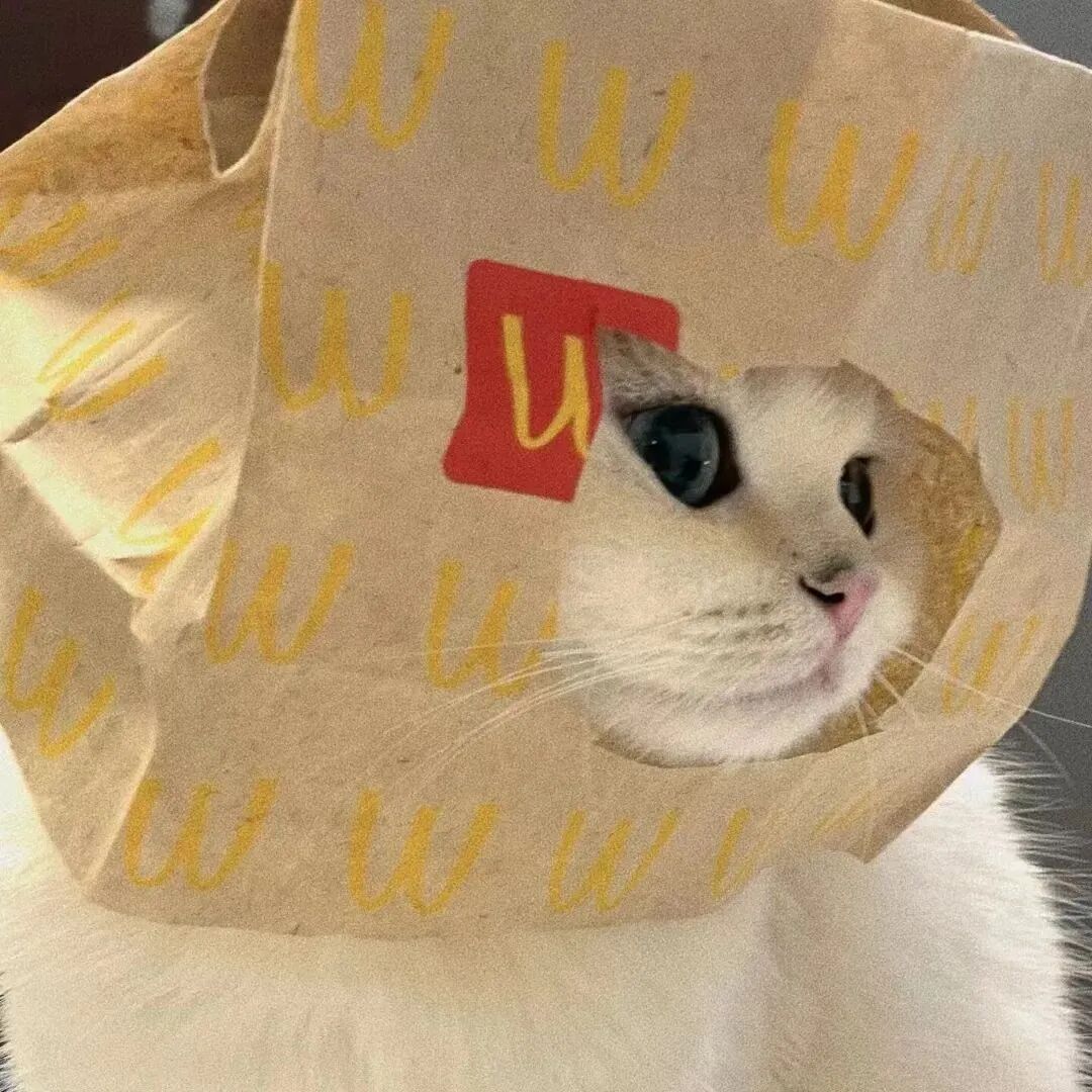 麦当劳猫咪萌宠头像