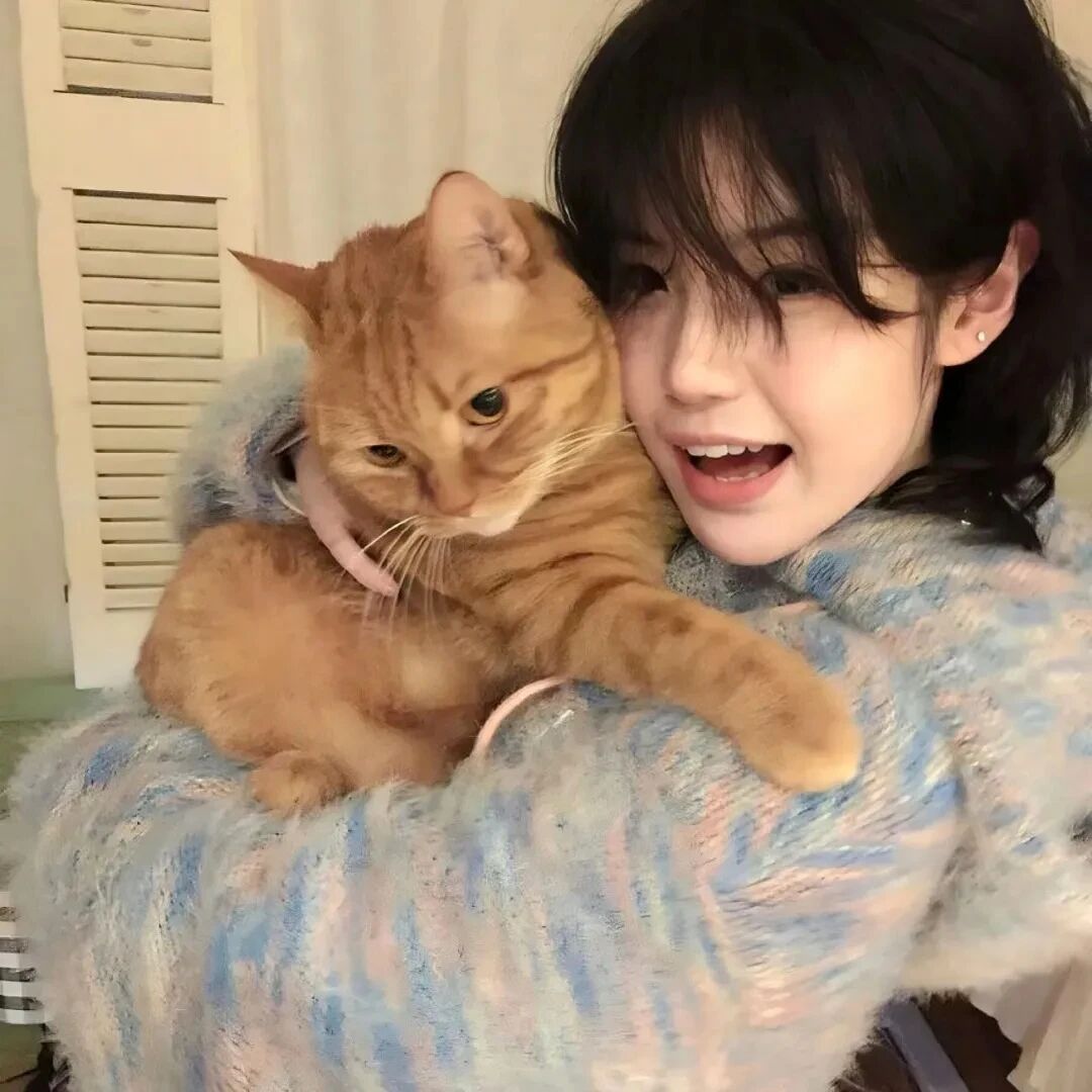 抱着猫咪小众女生头像