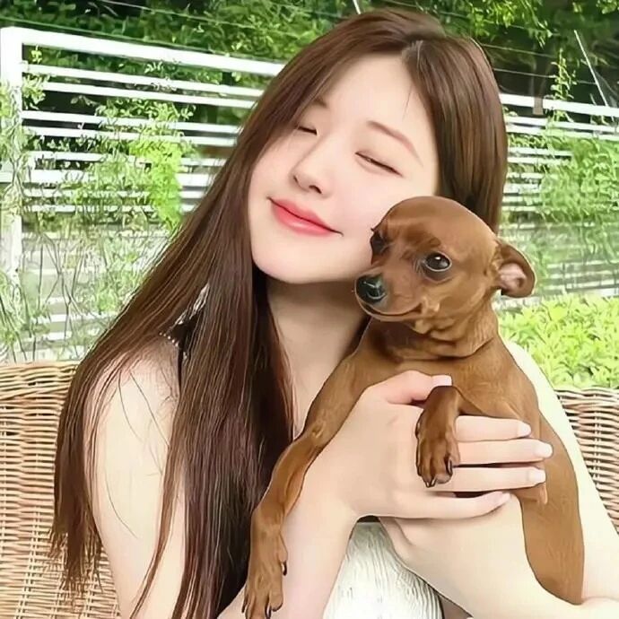 赵露思抱着狗狗爱豆女生头像