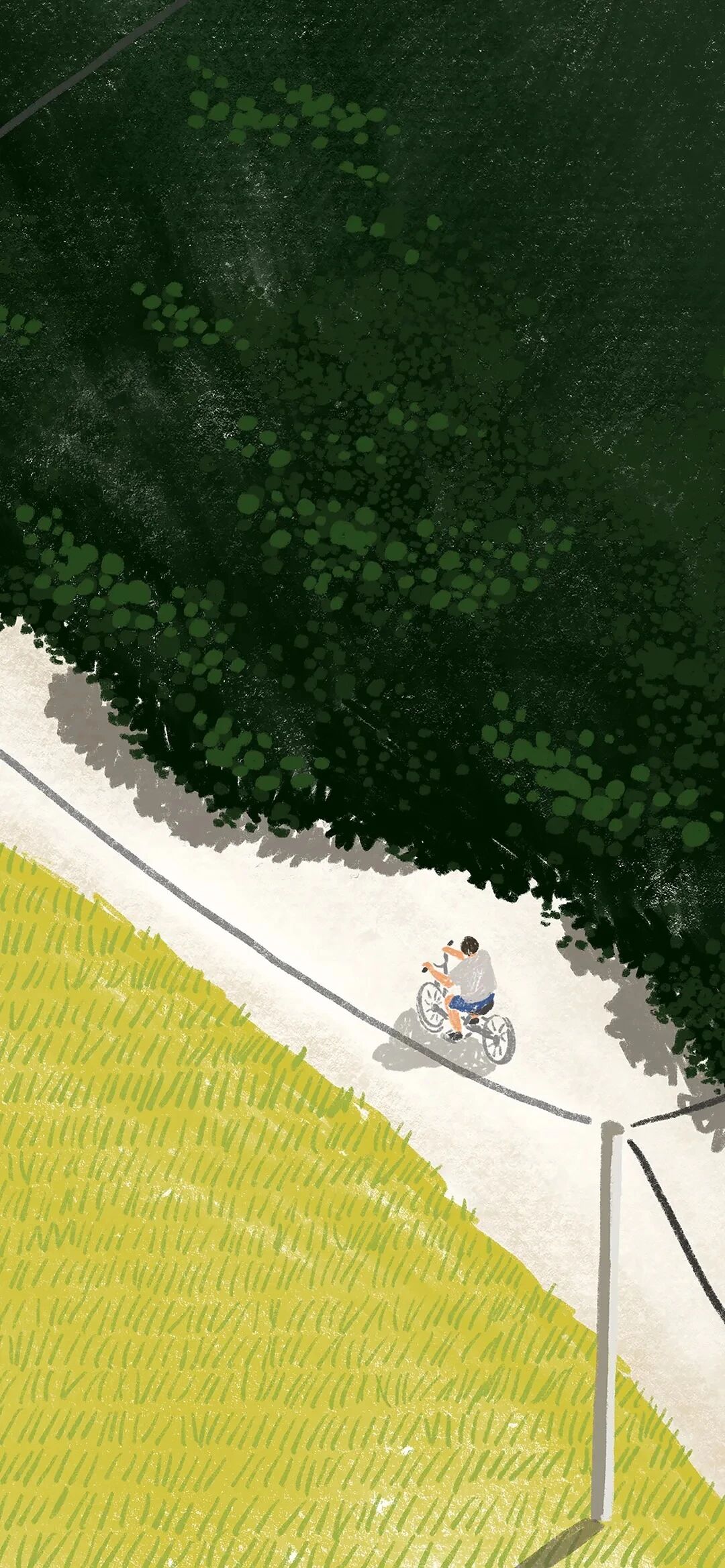 什锦