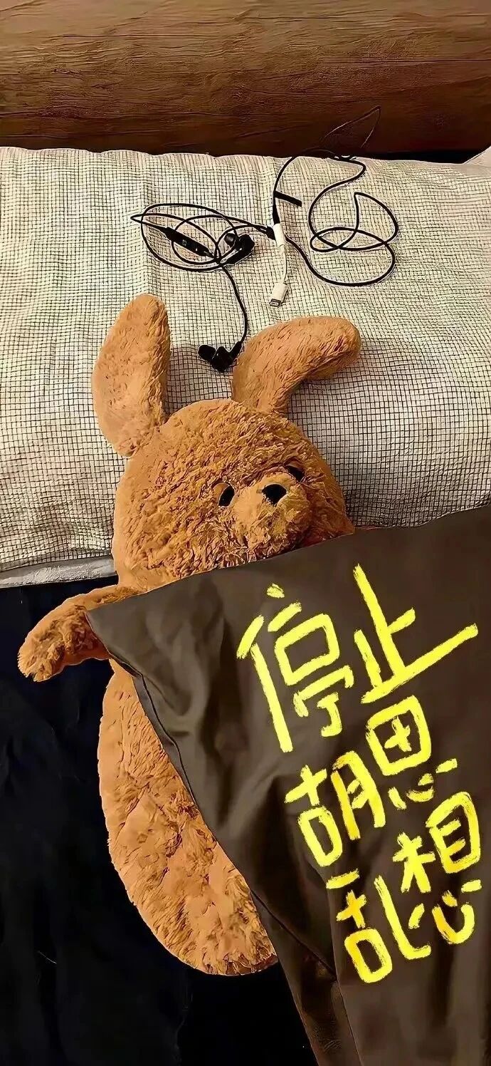 ins小熊文字壁纸