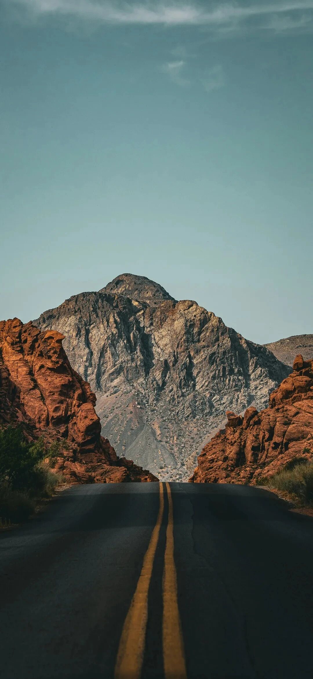 风景