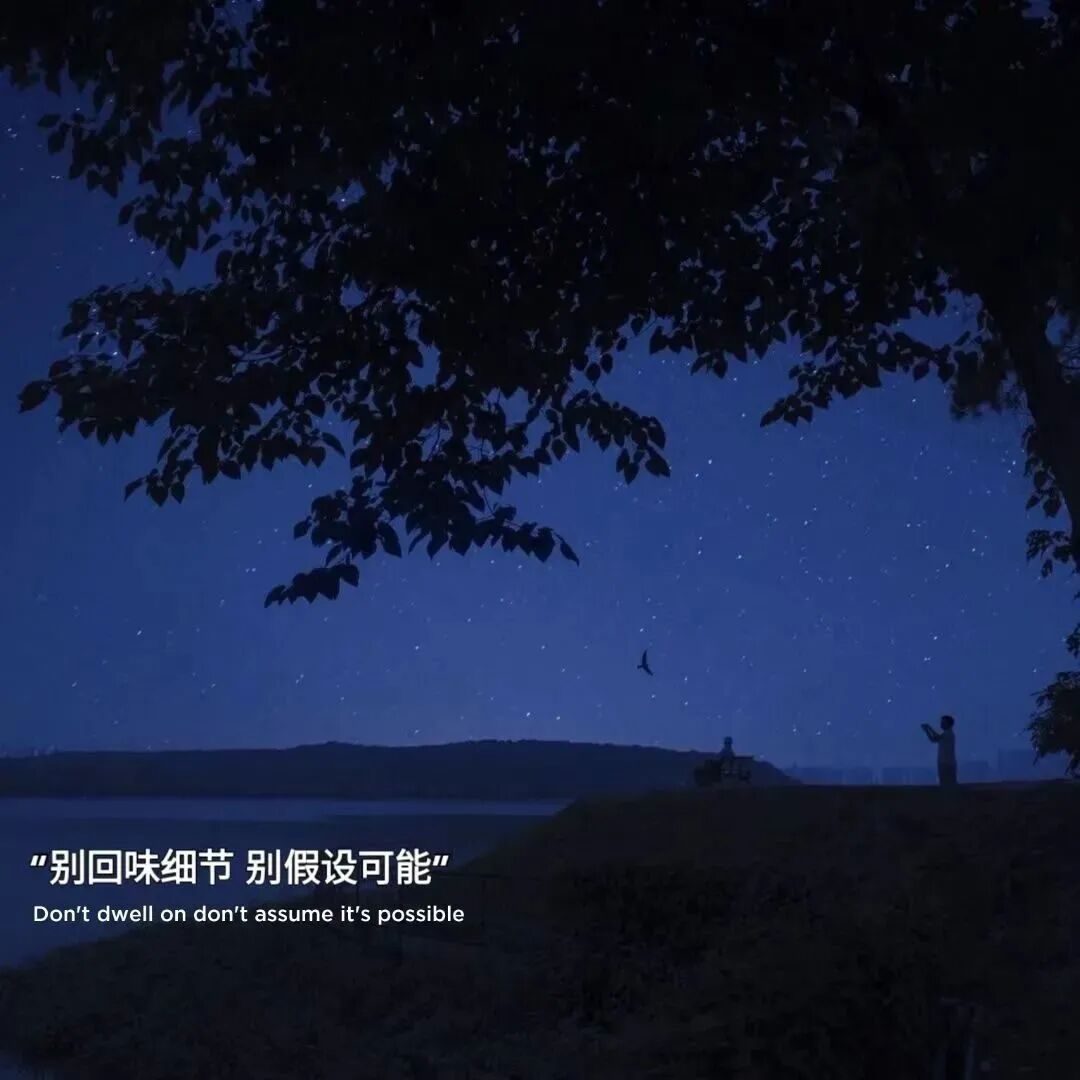 背景图 背景 ins ins高级 文字背景 16531