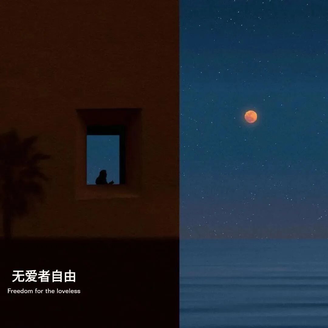 背景图 背景 ins ins高级 文字背景 16531
