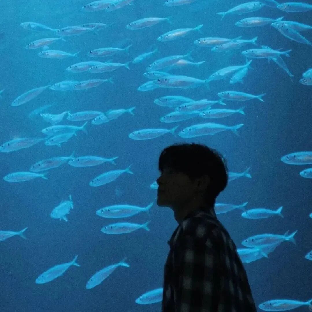 海底氛围感不露脸男生头像