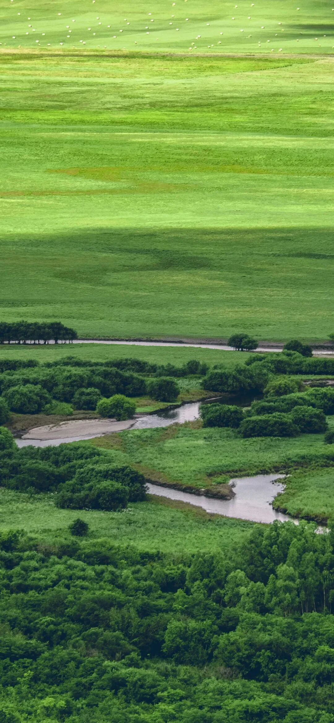 风景