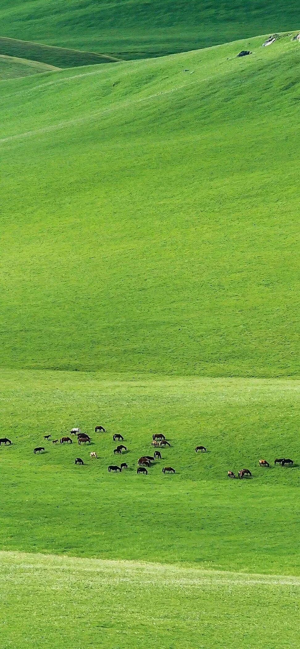 风景
