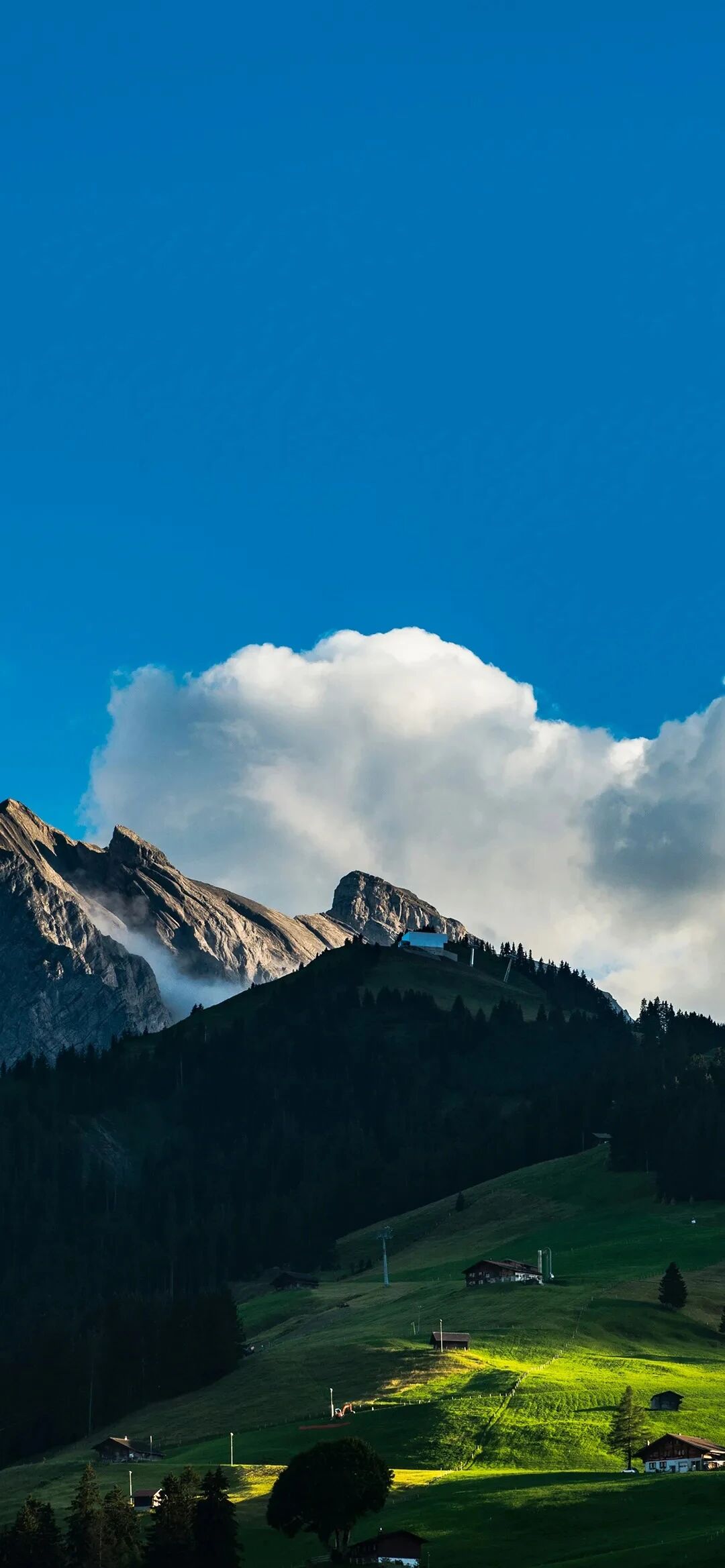 风景