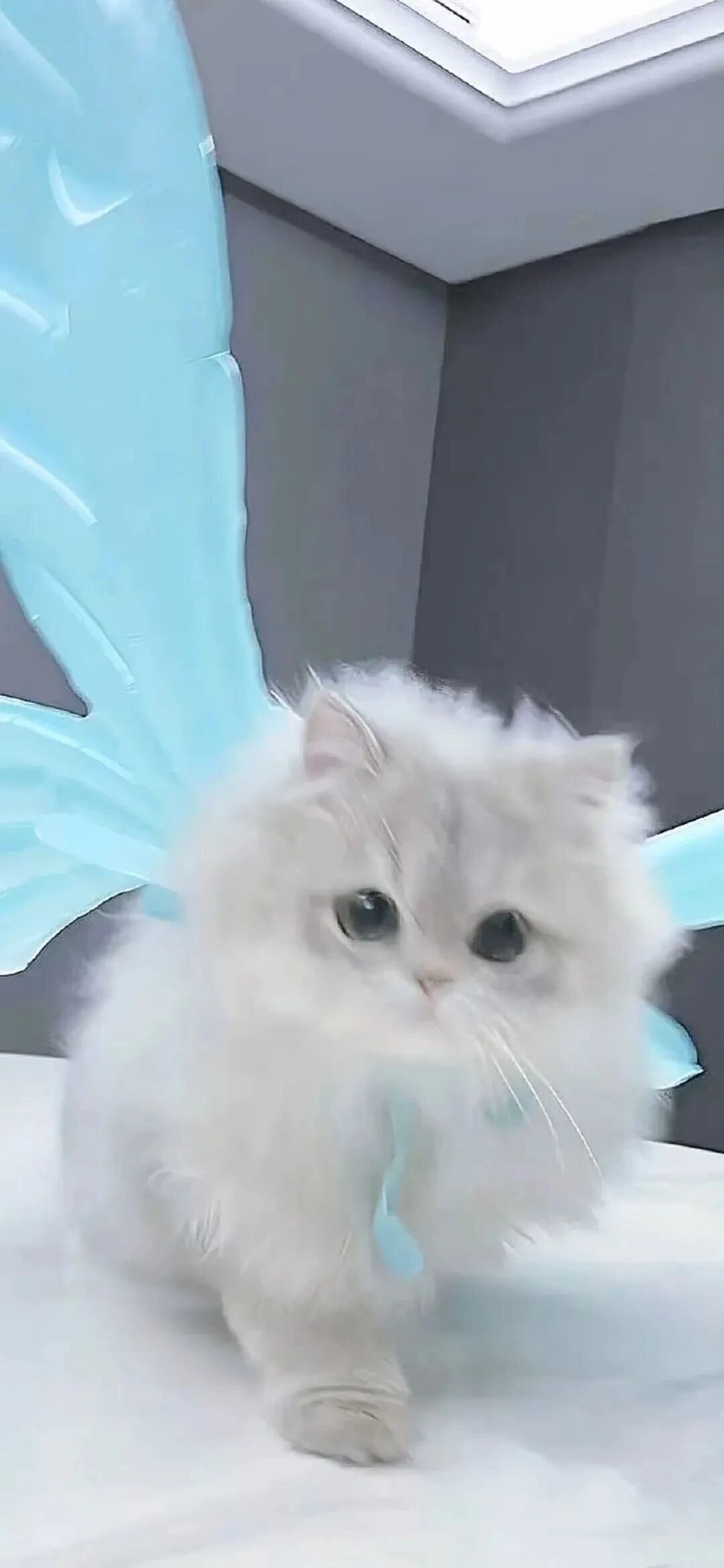 什锦