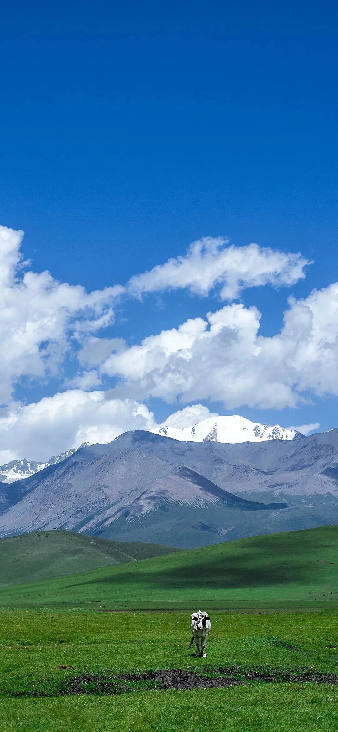 风景