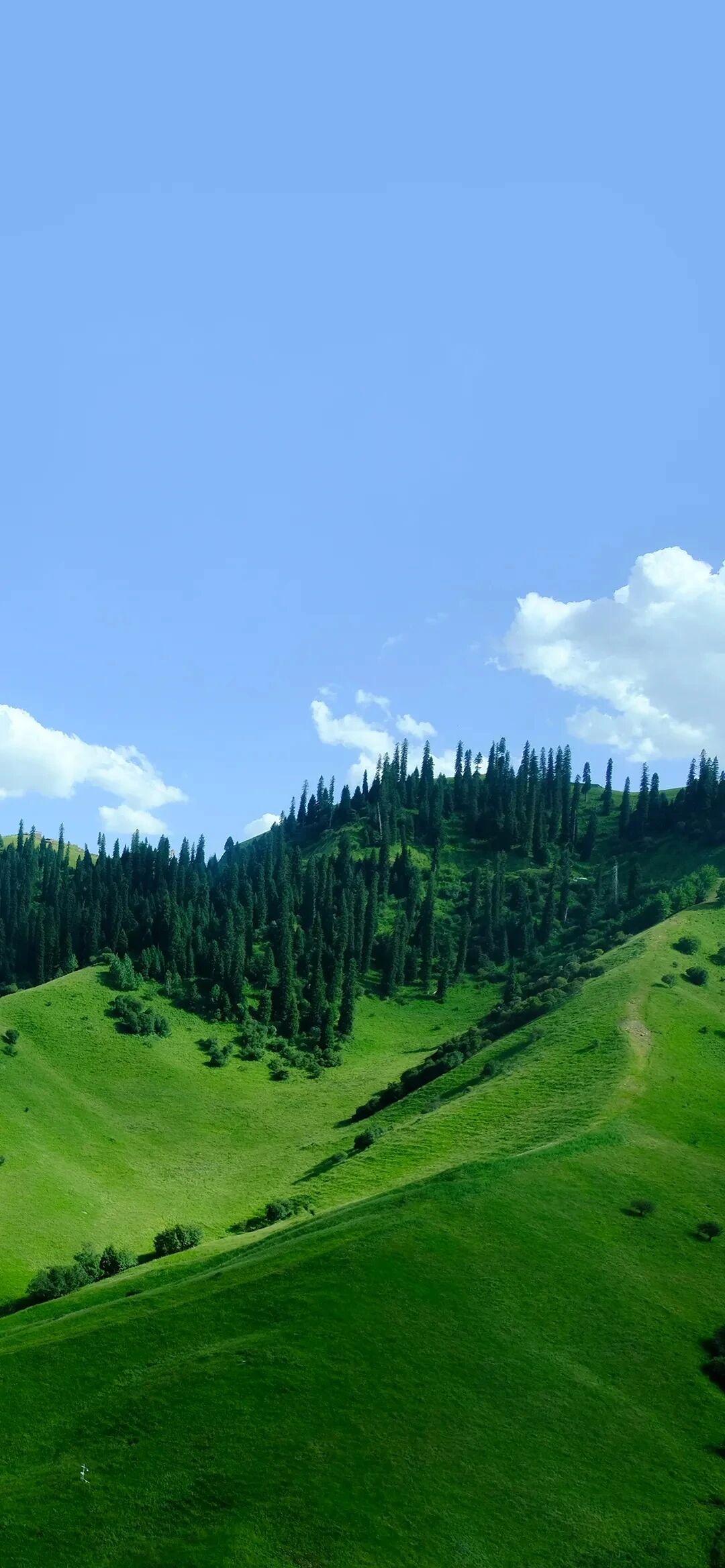 风景