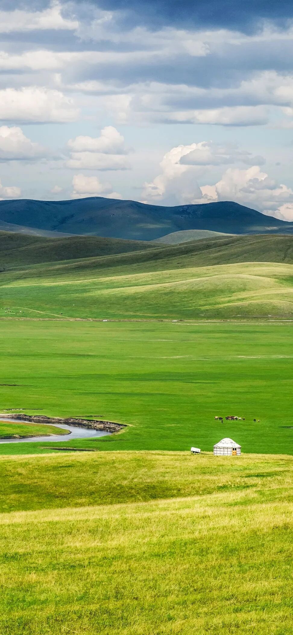 风景