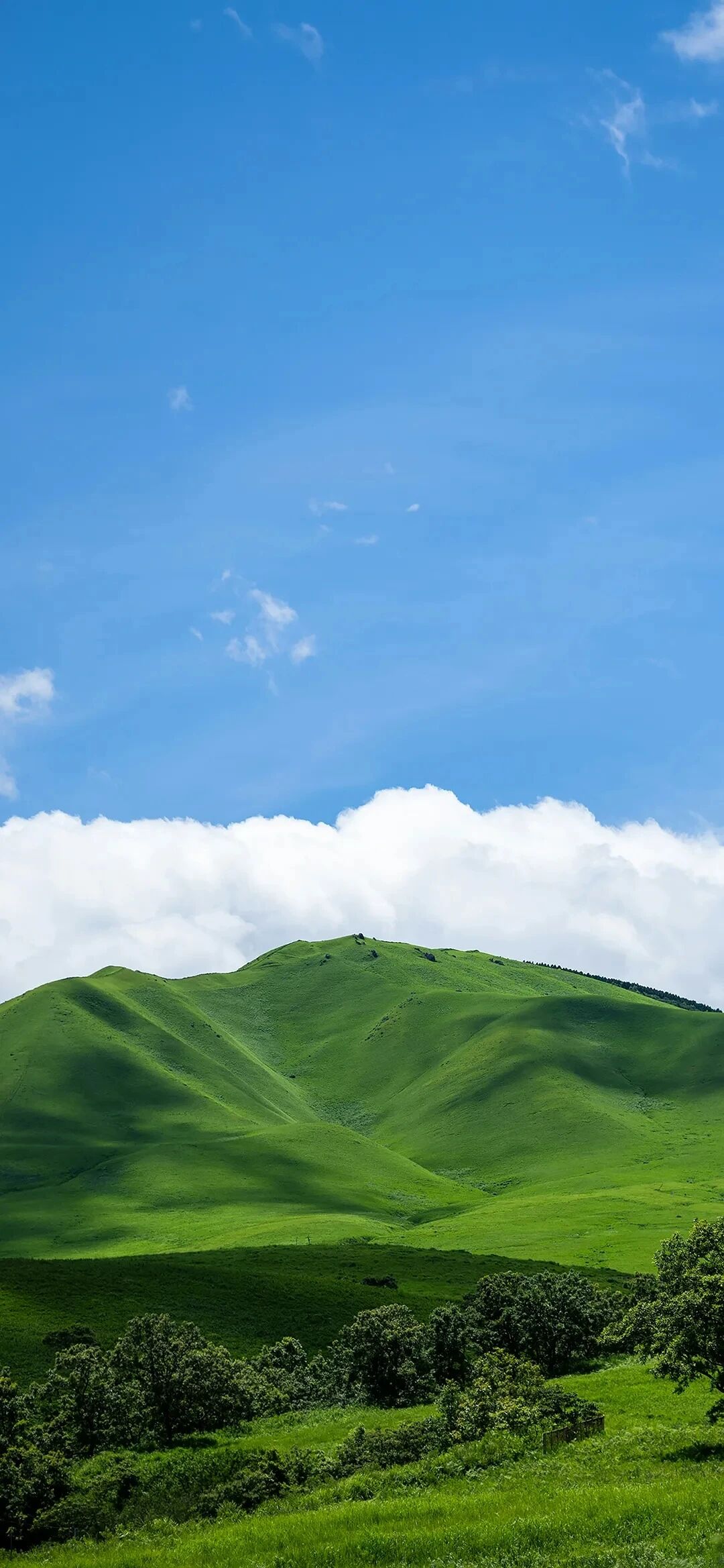 风景