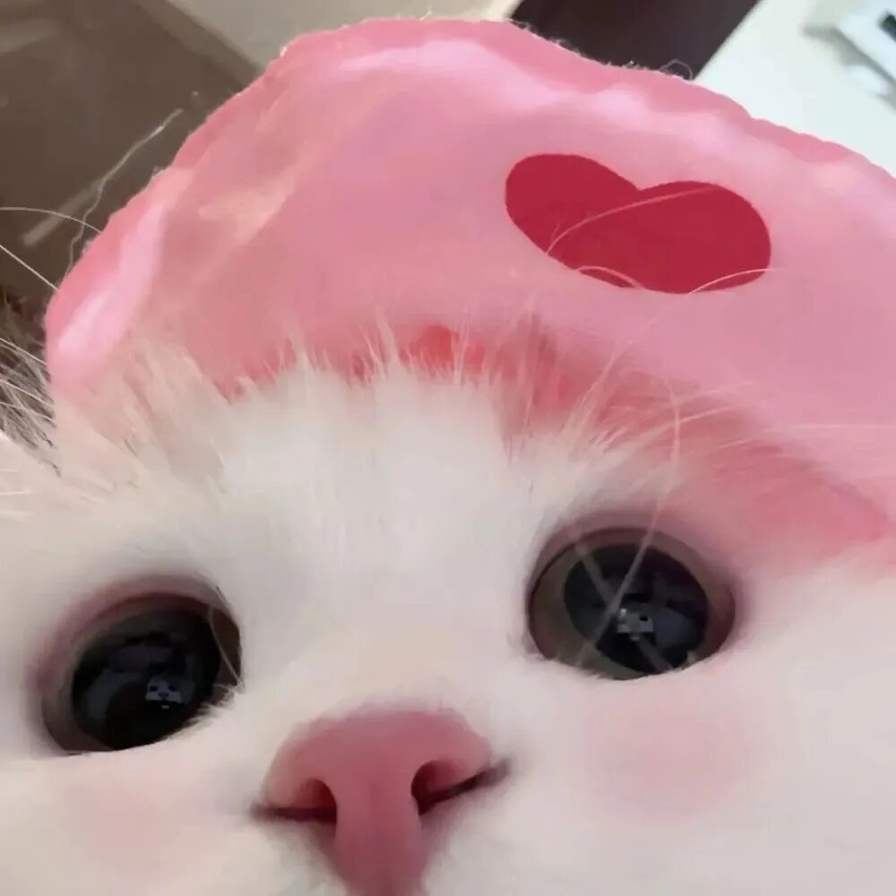 maokalaruisizhouyu可爱猫咪萌宠情侣头像