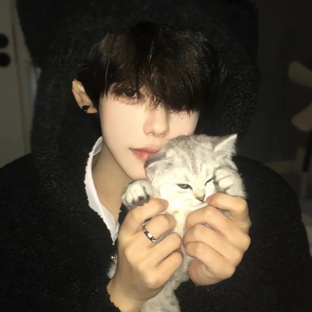 catbzjyqolfjfaxiao抱着猫咪单人真人情侣头像
