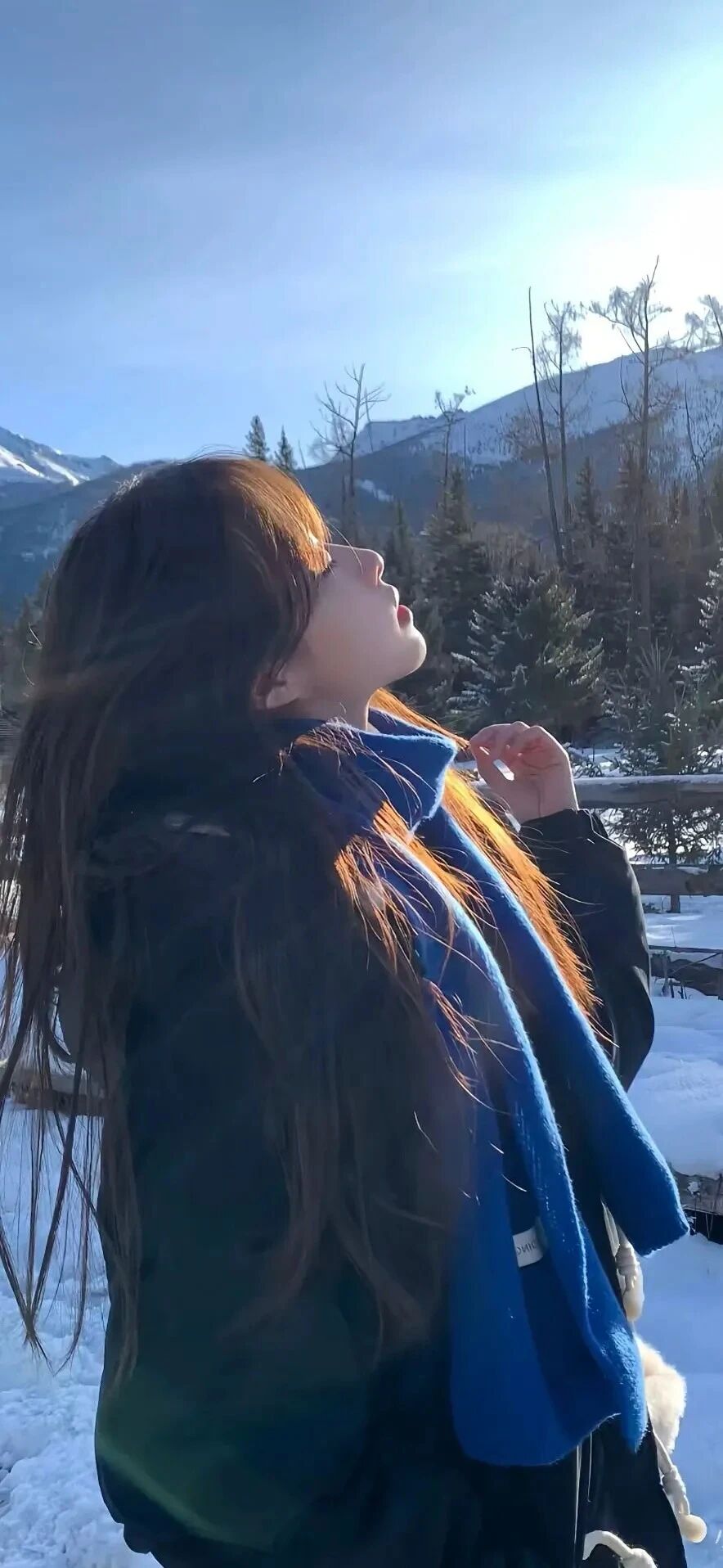 抖音热门