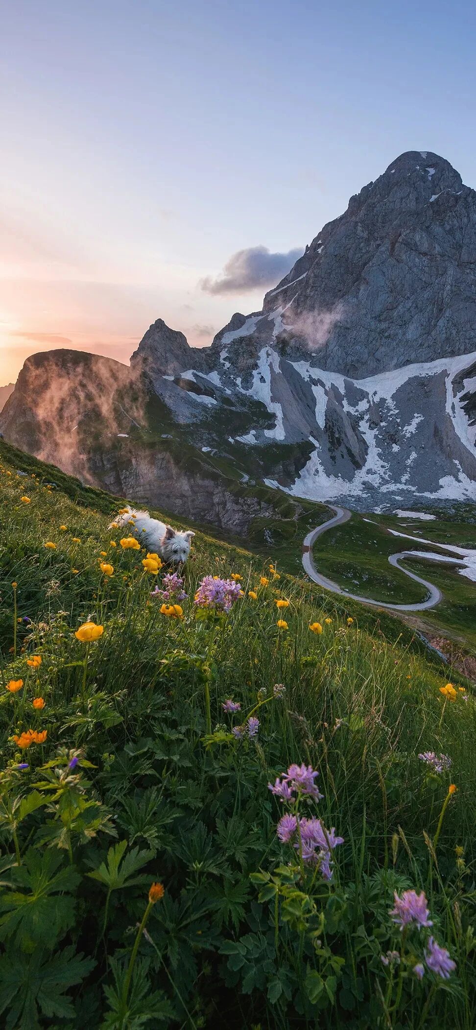 风景