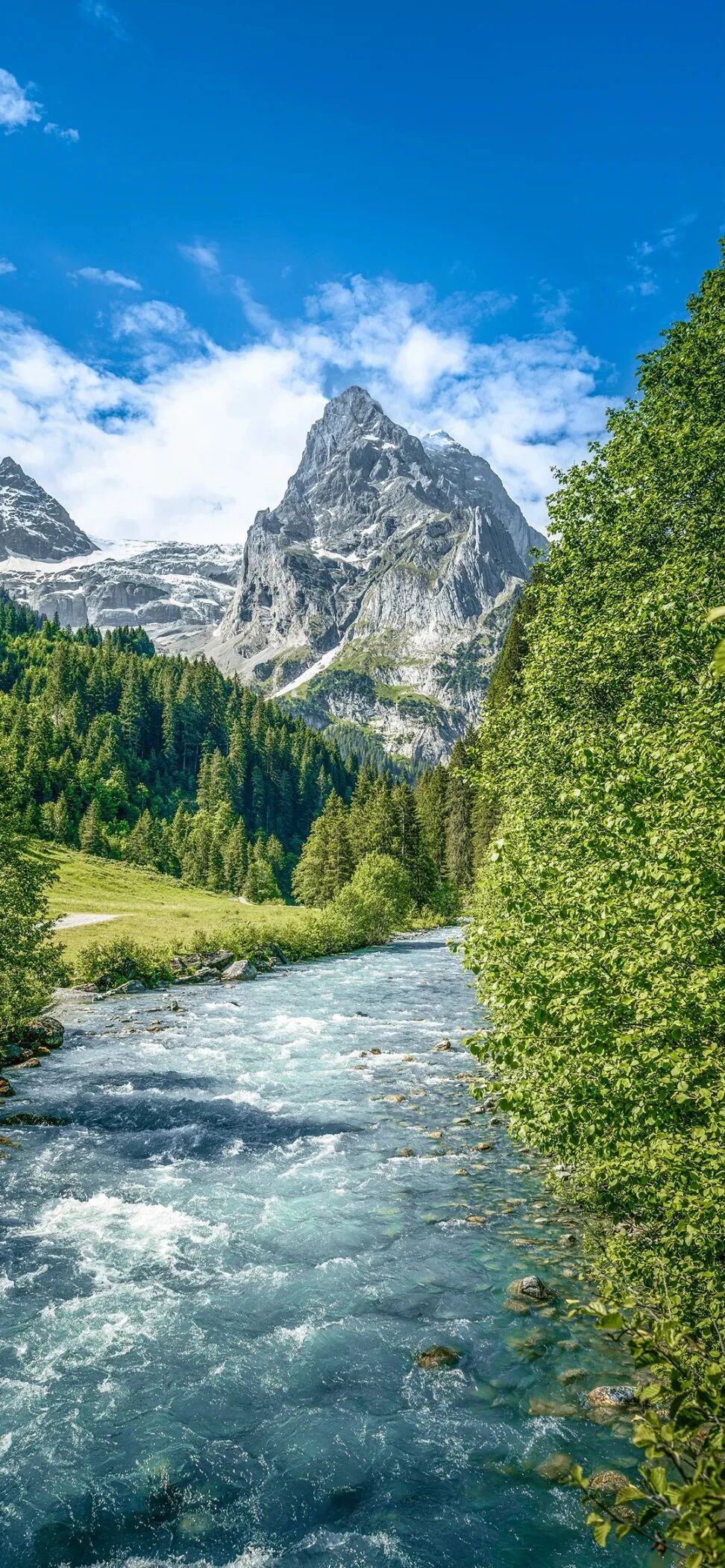 风景