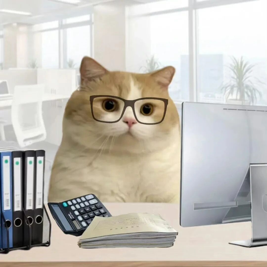 猫咪萌宠头像