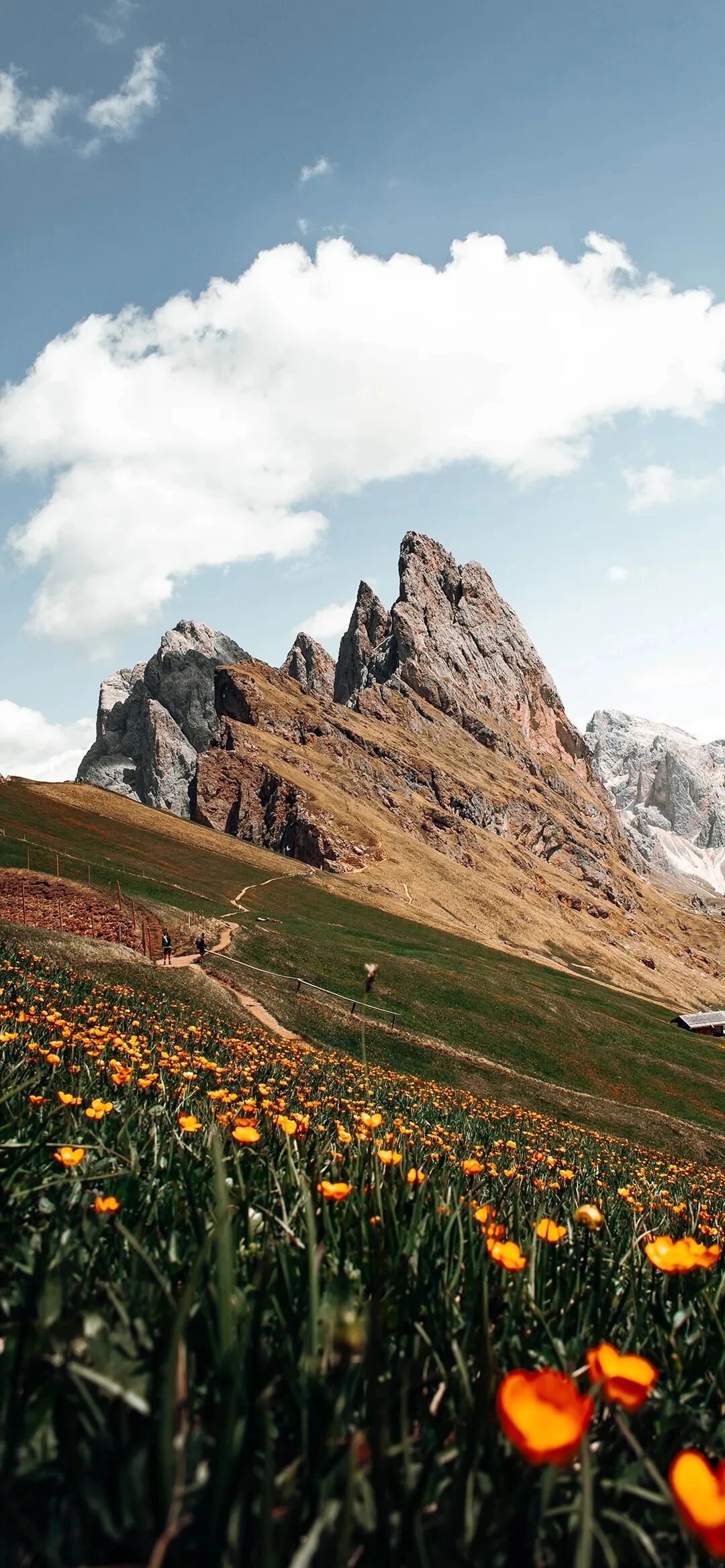 风景