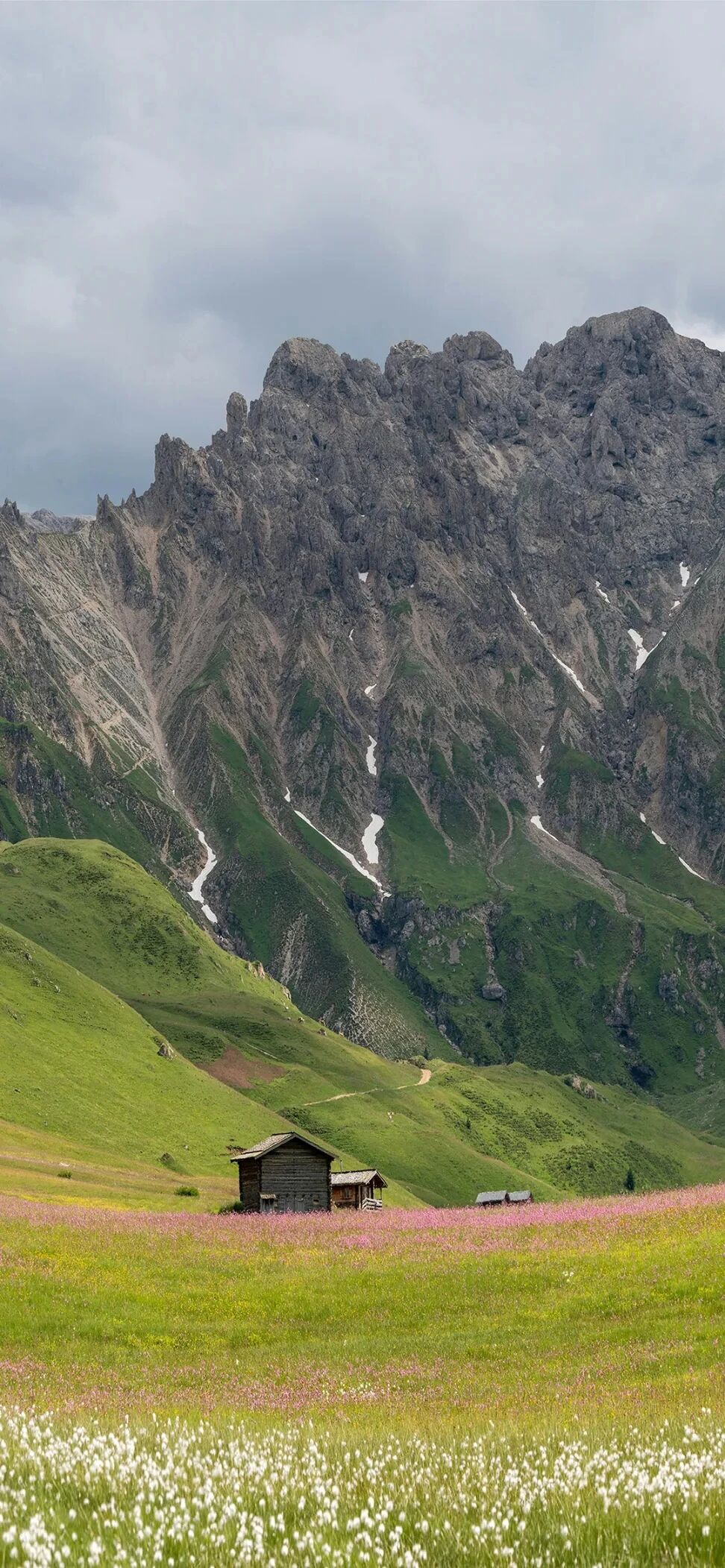 风景