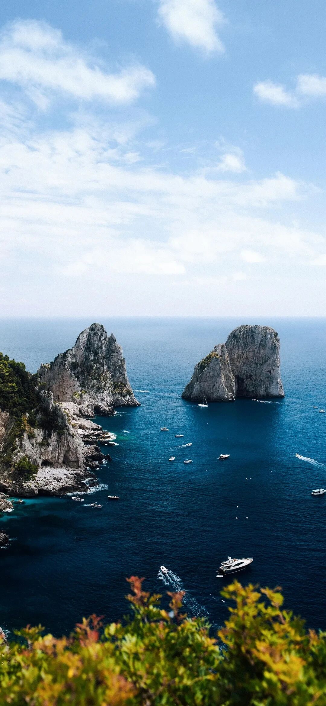 风景