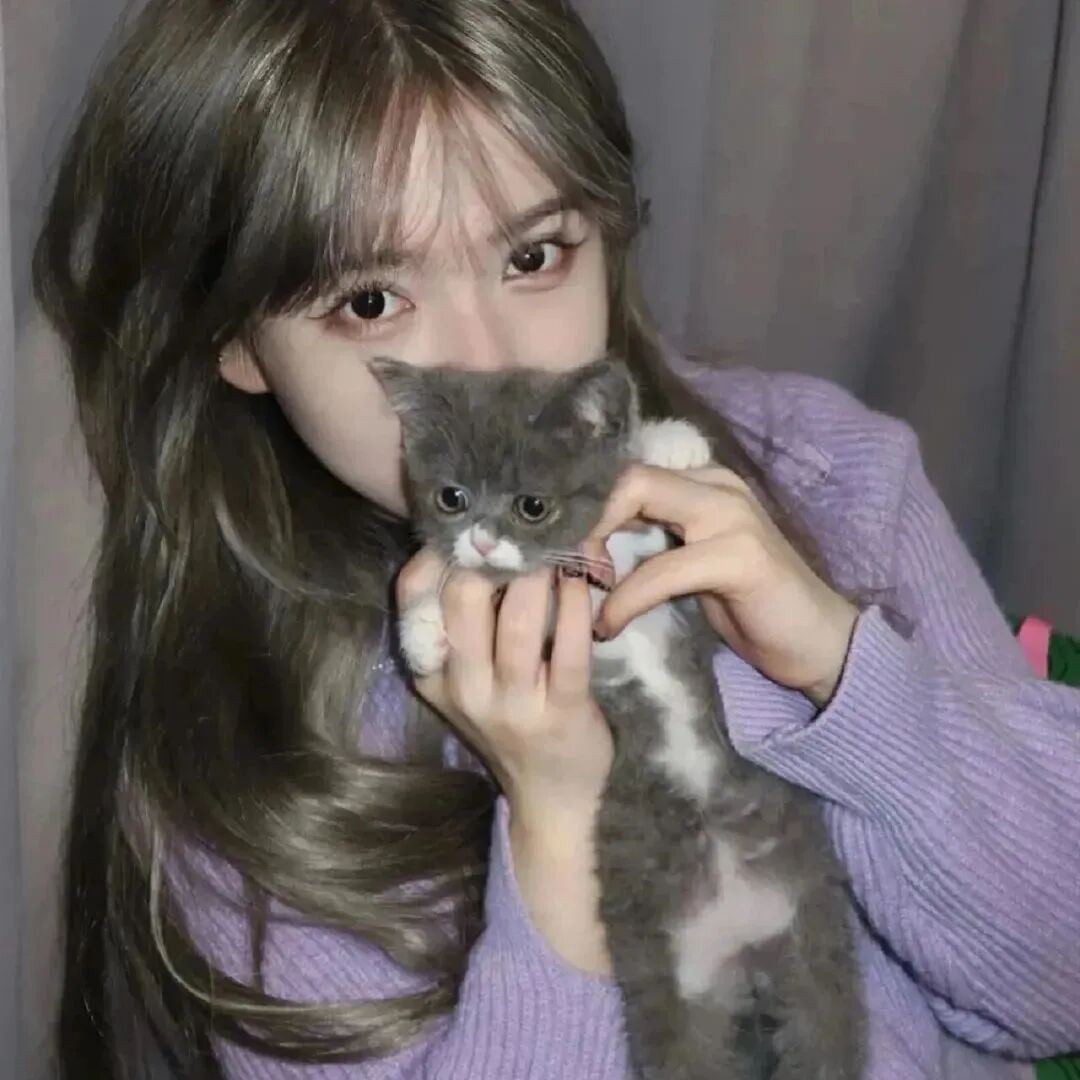 抱着猫咪紫色系甜妹女生头像